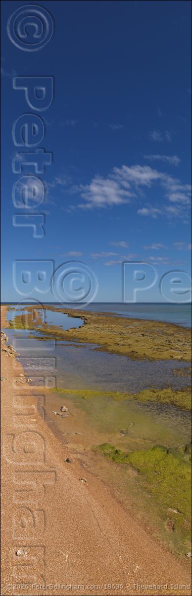 Peter Bellingham Photography Thevenard Island - WA (PBH3 00 8840)